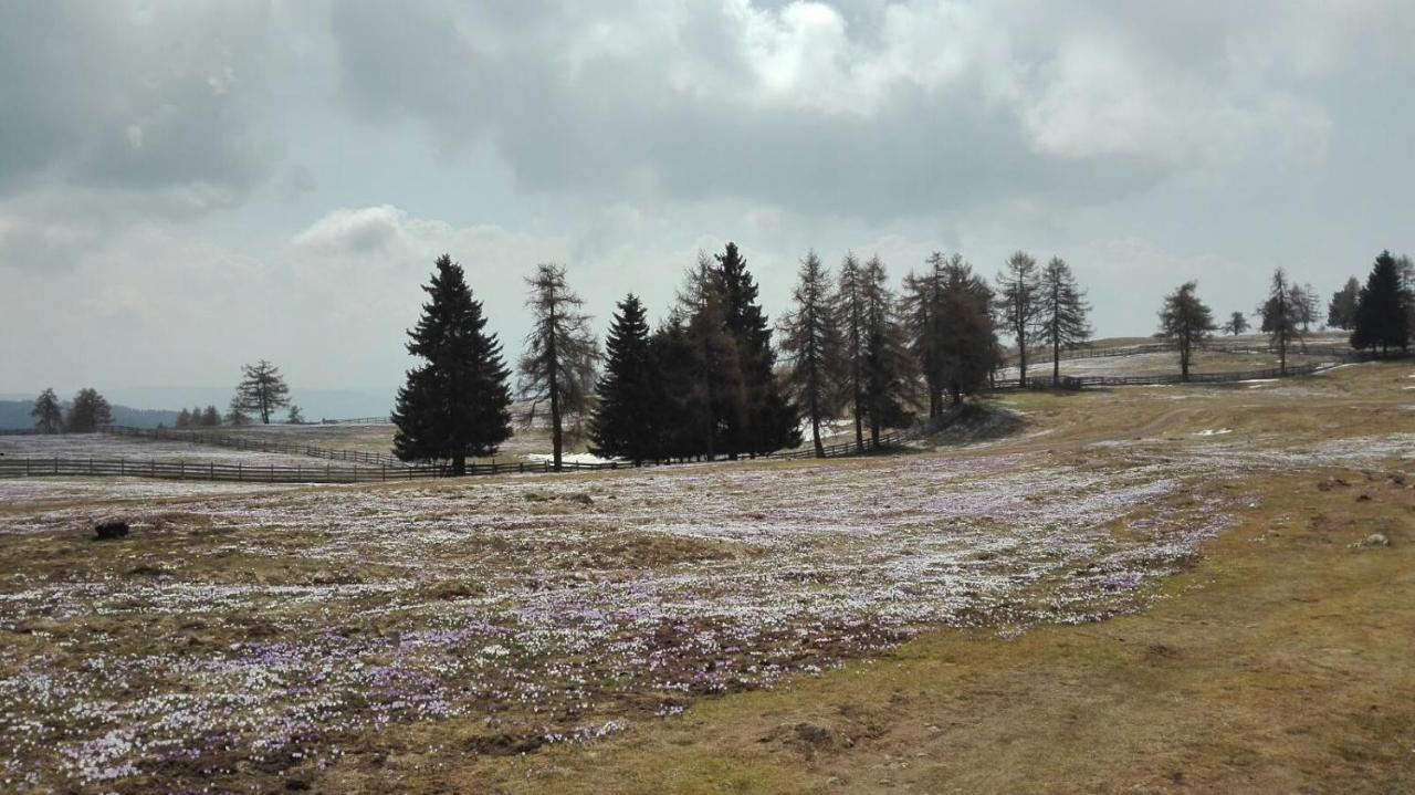 メルティナAlpenroseアパートメント エクステリア 写真