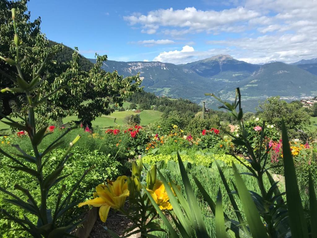 メルティナAlpenroseアパートメント エクステリア 写真