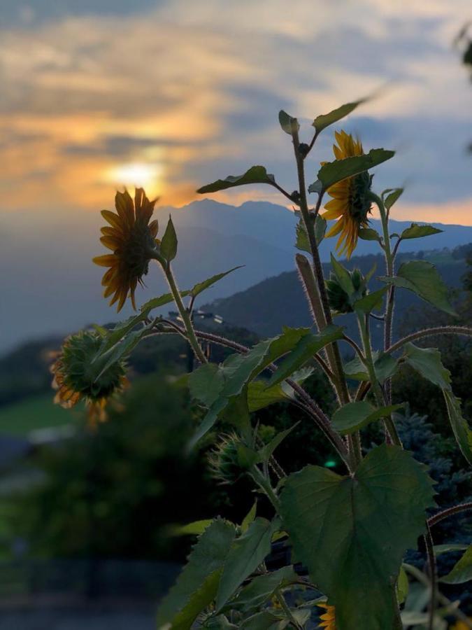 メルティナAlpenroseアパートメント エクステリア 写真