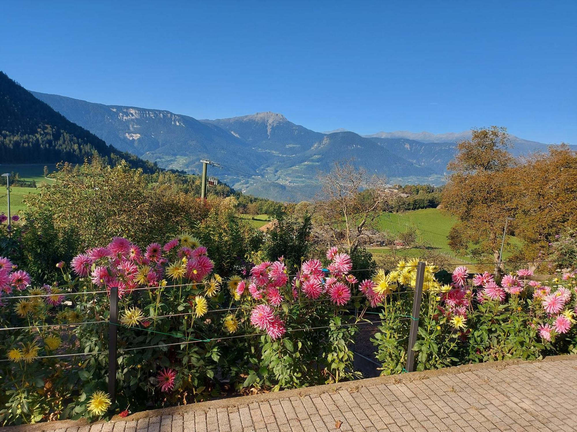 メルティナAlpenroseアパートメント エクステリア 写真